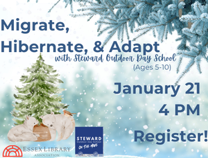 Migrate, Hibernate, Migrate, Hibernate,